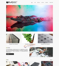响应式高端轻型摄影相册杂志织梦网站模板 HTML5简约风格...