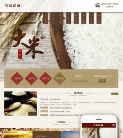 谷类大米农作物农业网站织梦模板(带手机端)