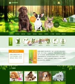 宠物饲养育种机构网站源码 猫狗宠物机构类网站织梦模板