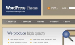 商务企业网站CSS模板37_商务 企业 棕色 蓝色 简单